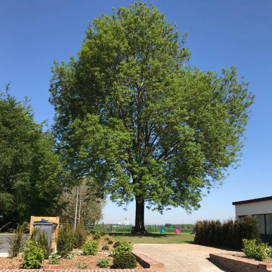 Gites Du Frene Wattignies Exterior photo